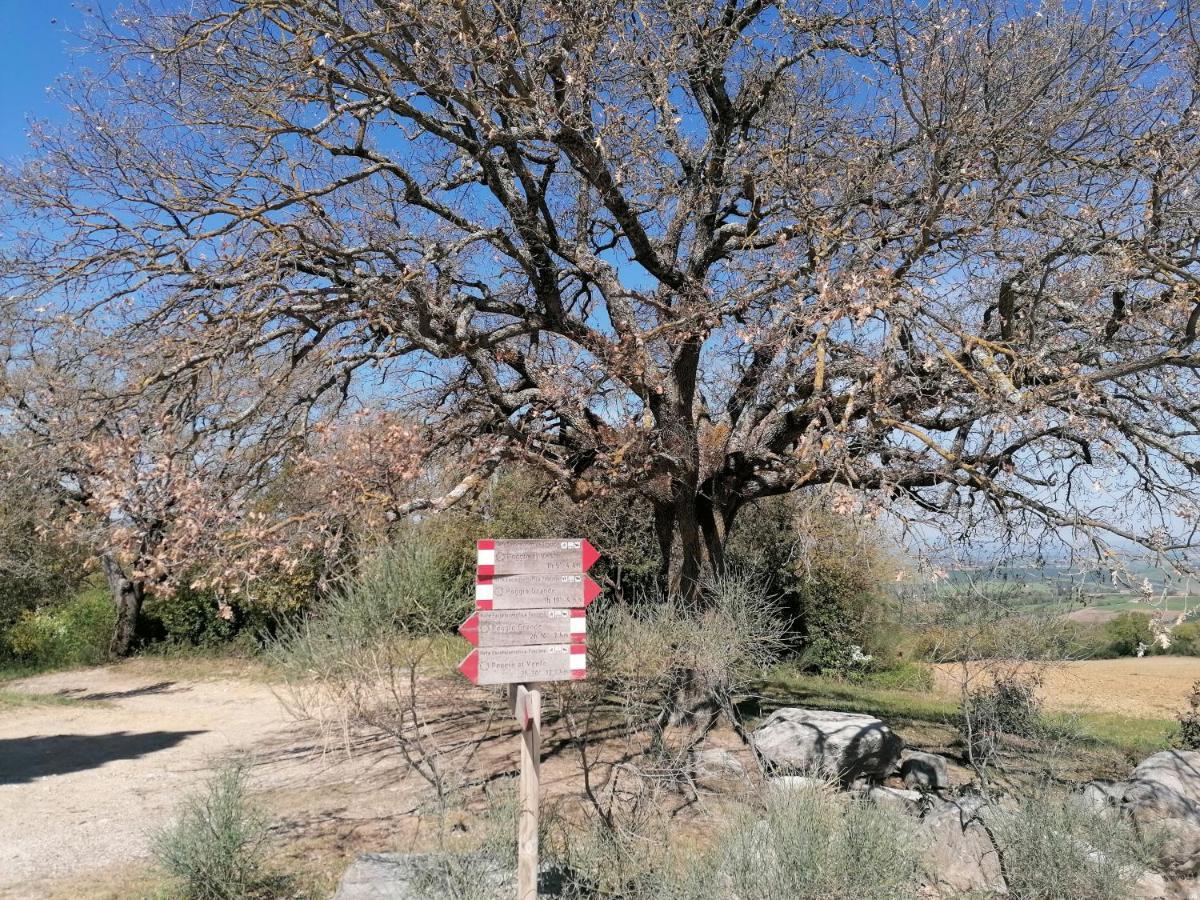 San Quirico dʼOrcia Goccia In Valdorcia Smart Home מראה חיצוני תמונה